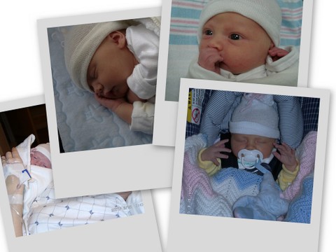 Collage4